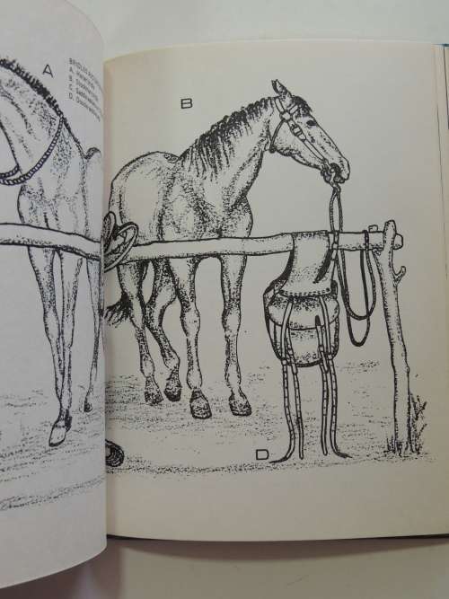 Take A Horse To The Wilderness - Nick Steele