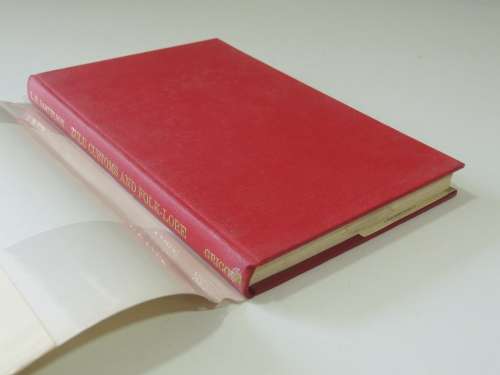 Zululand - Its Traditions, Legends, Customs And Folk-lore L.H. Samuelson (Nomleti)