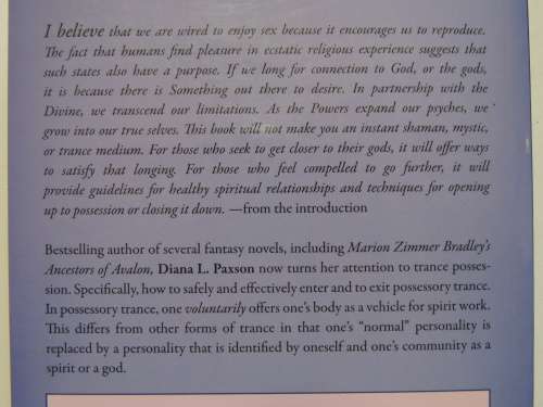The Essential Guide to Possession, Depossession & Divine Raltionships - Diana L Paxson