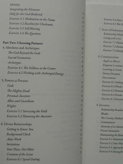 The Essential Guide to Possession, Depossession & Divine Raltionships - Diana L Paxson