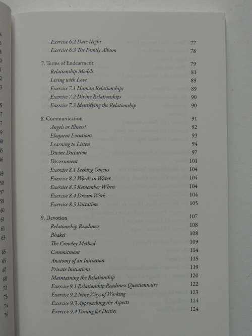 The Essential Guide to Possession, Depossession & Divine Raltionships - Diana L Paxson