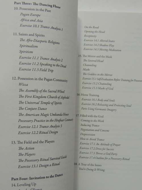 The Essential Guide to Possession, Depossession & Divine Raltionships - Diana L Paxson