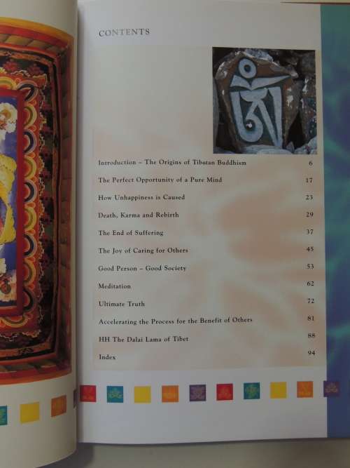 The Essence of Buddhism - Roy Gillet