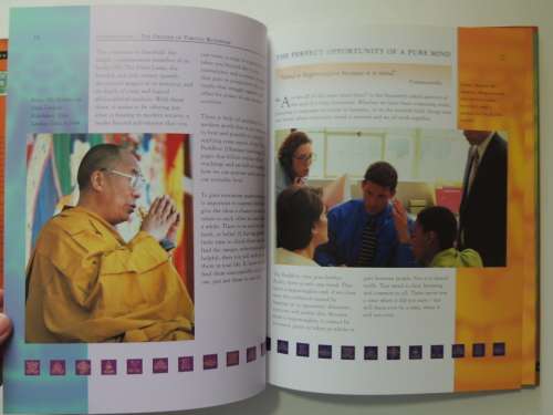 The Essence of Buddhism - Roy Gillet