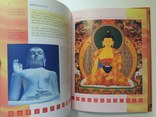 The Essence of Buddhism - Roy Gillet