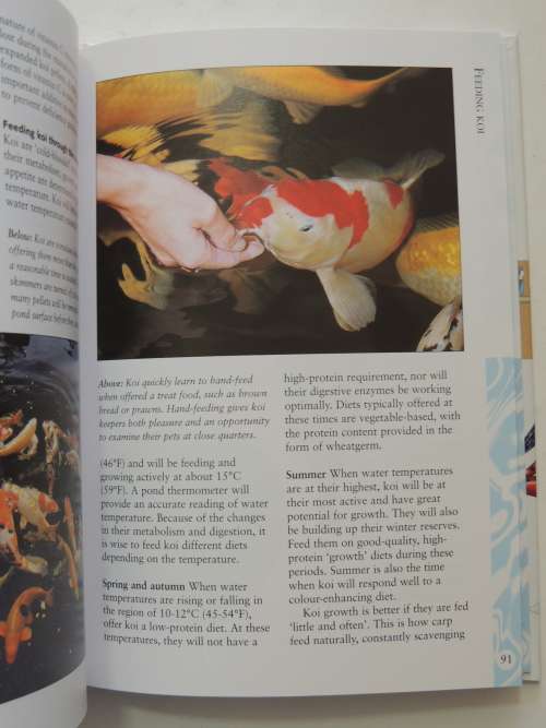 How To Keep Koi, An Essential Guide - David Twigg
