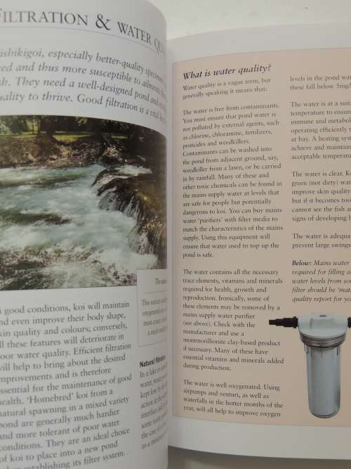 How To Keep Koi, An Essential Guide - David Twigg