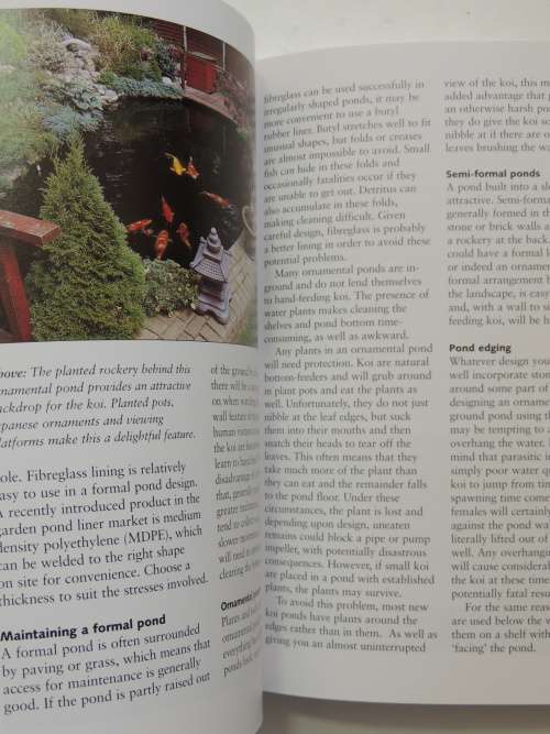 How To Keep Koi, An Essential Guide - David Twigg