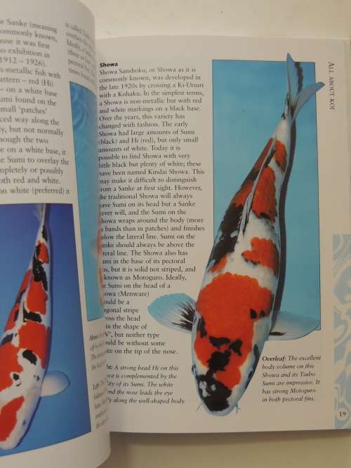 How To Keep Koi, An Essential Guide - David Twigg