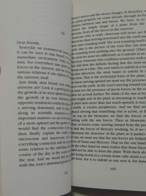 Pastoral Medicine  - Rudolf Steiner