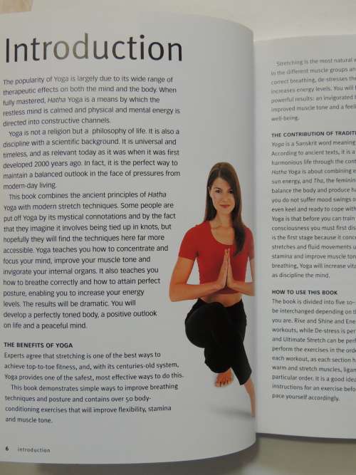 Yoga Basics - Stretches To Tone, Energize And De-stress - Vimla Lalvani