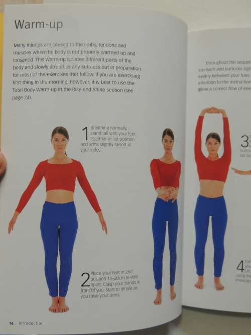 Yoga Basics - Stretches To Tone, Energize And De-stress - Vimla Lalvani