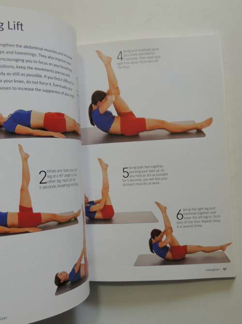 Yoga Basics - Stretches To Tone, Energize And De-stress - Vimla Lalvani