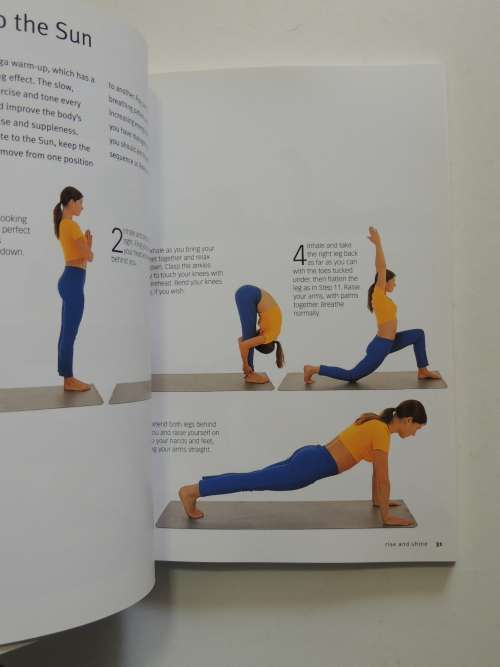 Yoga Basics - Stretches To Tone, Energize And De-stress - Vimla Lalvani