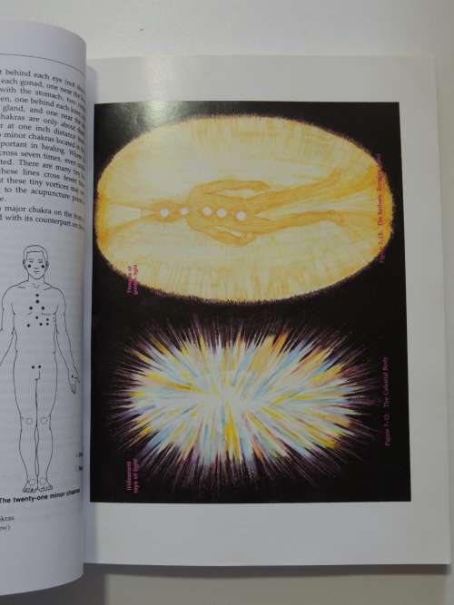 Hands of Light, A Guide to Healing Through the Human Energy Field - Barbara Ann Brennan