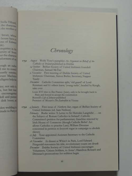 Rebels & Informers - Stirrings Of Irish Independence - Oliver Knox