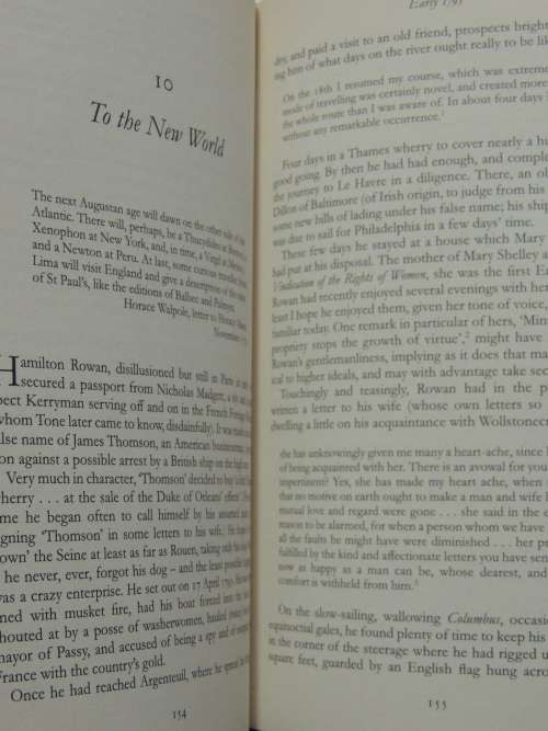 Rebels & Informers - Stirrings Of Irish Independence - Oliver Knox