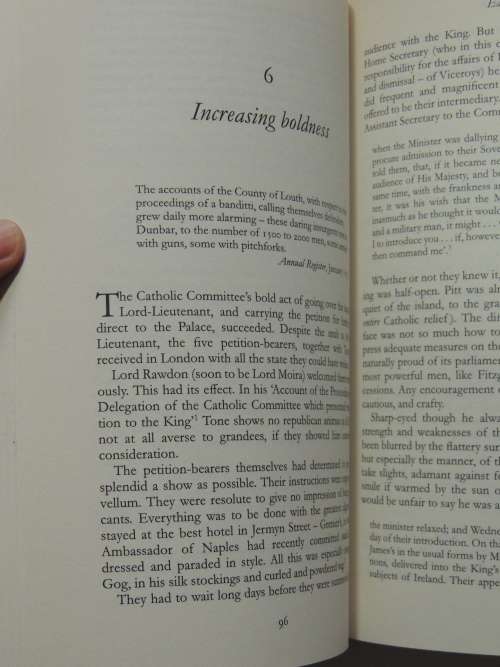 Rebels & Informers - Stirrings Of Irish Independence - Oliver Knox