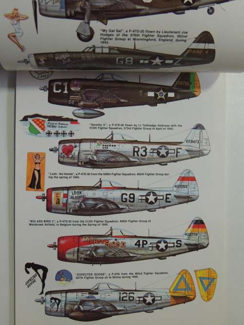 Squadron / Signal Publications - P-47 Thunderbolt In Action - Larry Davis