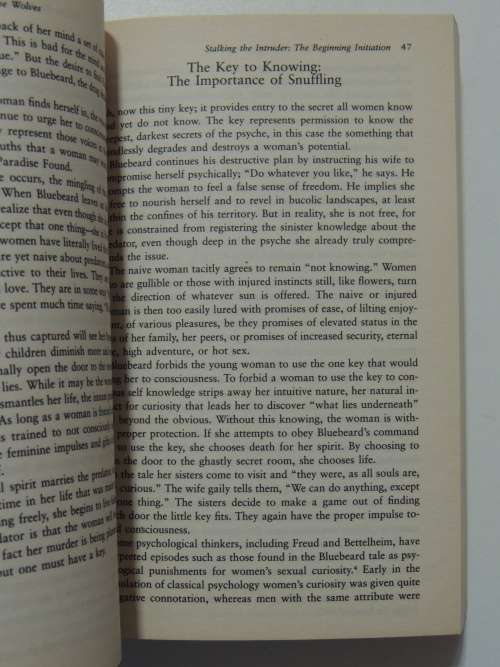 Women Who Run With Wolves - Contacting The Power Of The Wild Woman - Clarissa Pinkola Estes