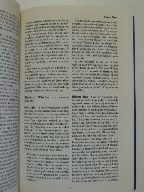 Dictionary Of Witchcraft - David Pickering