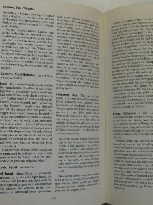 Dictionary Of Witchcraft - David Pickering