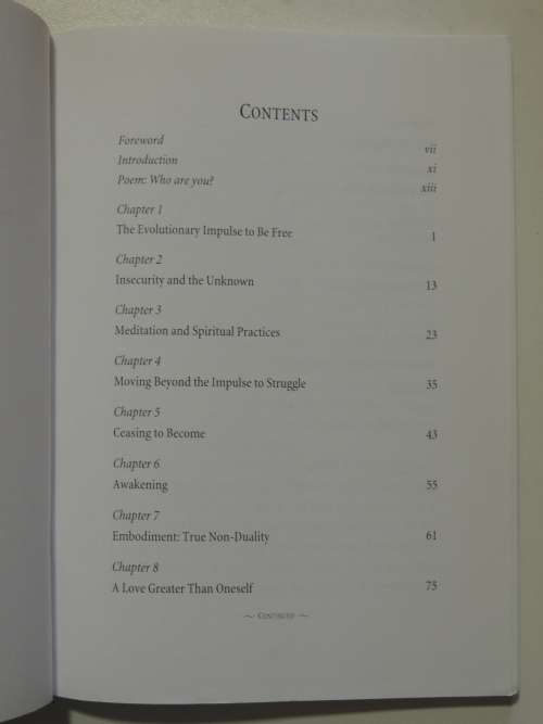 The Impact of Awakening - Excerpts from the Teachings of Adyashanti