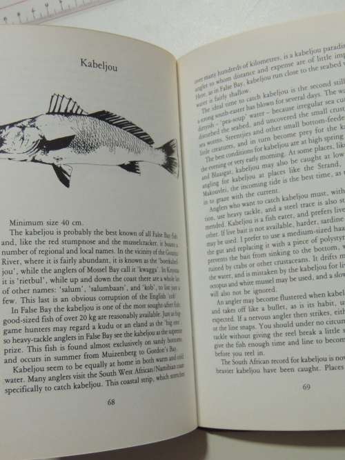 Angling In False Bay - André van den Berg