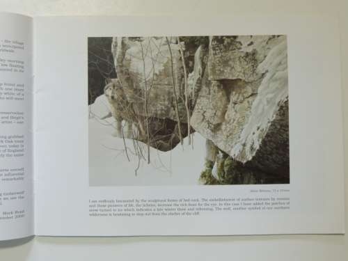 Diversities by Robert Bateman at Everard Read   2000