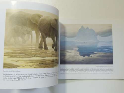 Diversities by Robert Bateman at Everard Read   2000