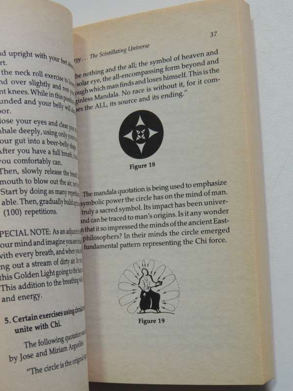 Life Force, The Secret Power Behind Miracle Healing, Martial Arts & Occult Magic - Leo F Ludzia