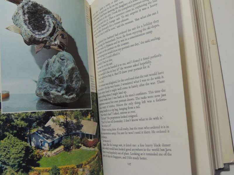 Pigeon`s Luck - Artist`s Life Story- Tretchikoff & Hocking