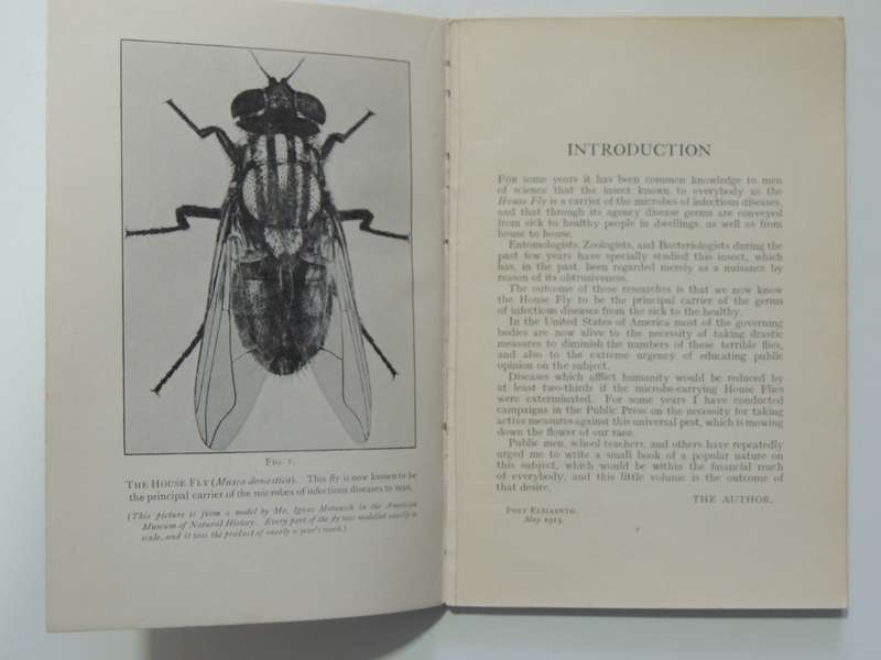 The House Fly, A Slayer of Men - FW Fitzsimons     1915, First Edition