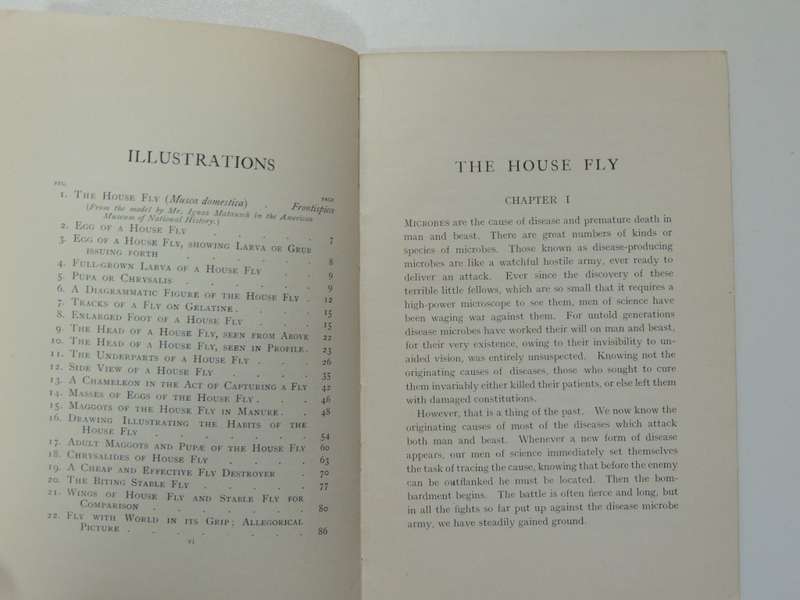 The House Fly, A Slayer of Men - FW Fitzsimons     1915, First Edition