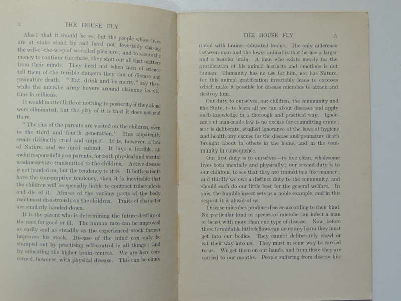 The House Fly, A Slayer of Men - FW Fitzsimons     1915, First Edition