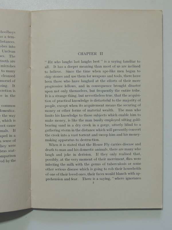 The House Fly, A Slayer of Men - FW Fitzsimons     1915, First Edition