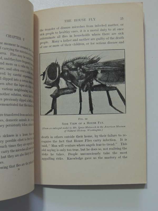 The House Fly, A Slayer of Men - FW Fitzsimons     1915, First Edition