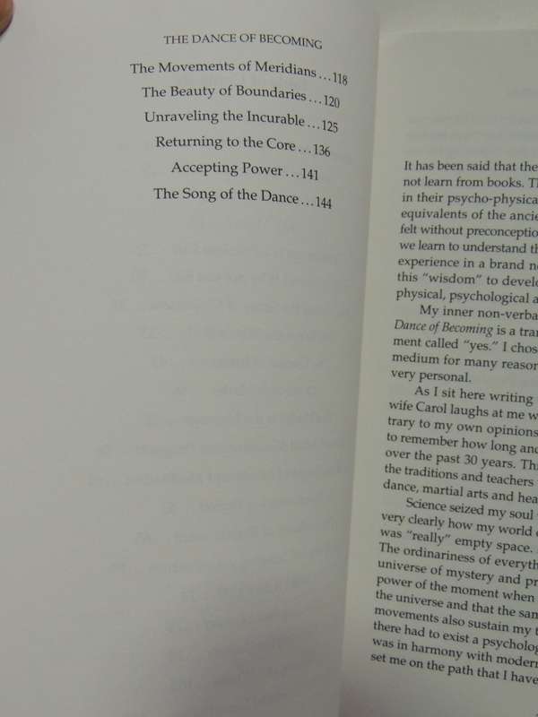 The Dance of Becoming, Living Life as a Martial Art- Stuart Heller
