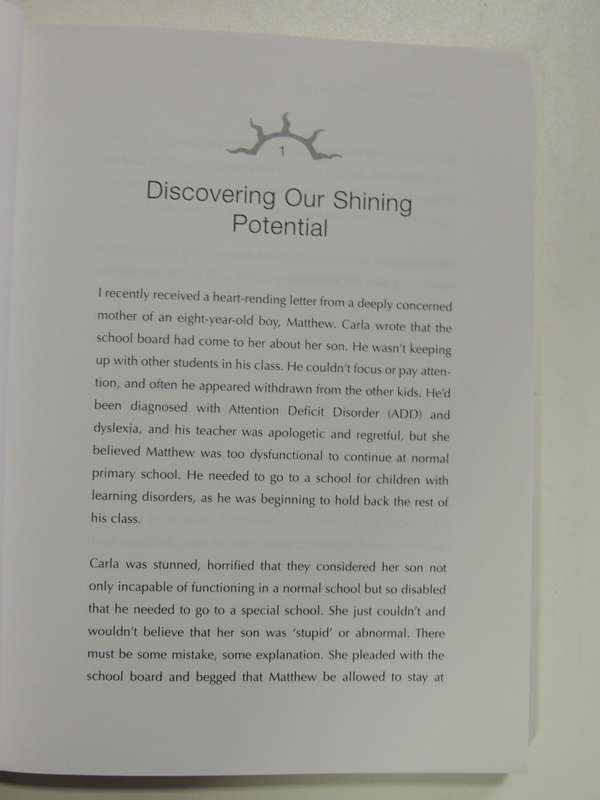 The Journey for Kids, Liberating Your Child`s Shining Potential- Brandon Bays