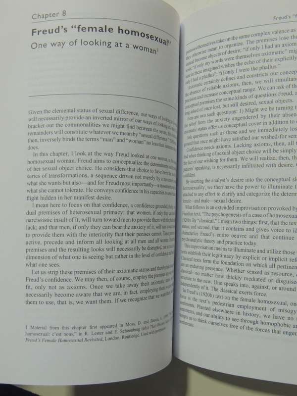 Thirteen Ways of Looking at a Man, Psychoanalysis & MasculinityDonald Moss