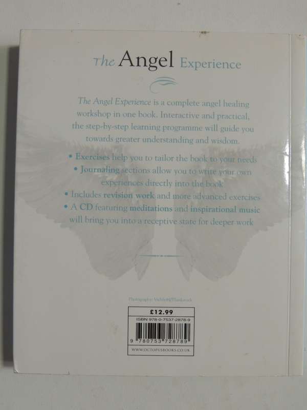 The Angel Experience - Your Complete Angel Workshop In A Book + CD - Hazel Raven