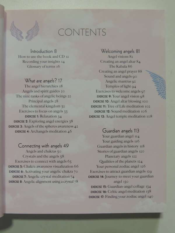 The Angel Experience - Your Complete Angel Workshop In A Book + CD - Hazel Raven