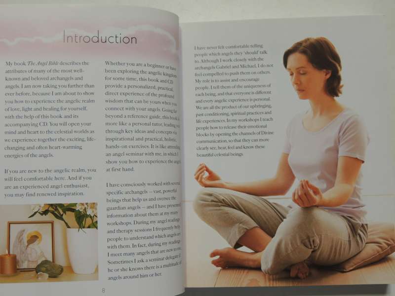 The Angel Experience - Your Complete Angel Workshop In A Book + CD - Hazel Raven