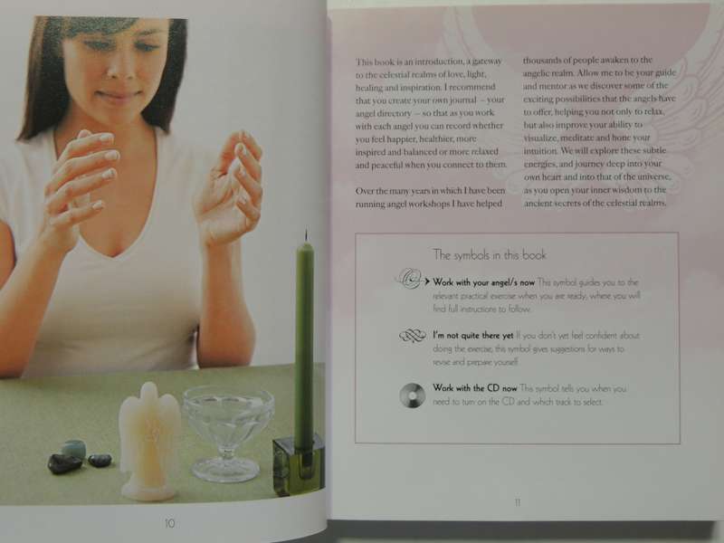 The Angel Experience - Your Complete Angel Workshop In A Book + CD - Hazel Raven