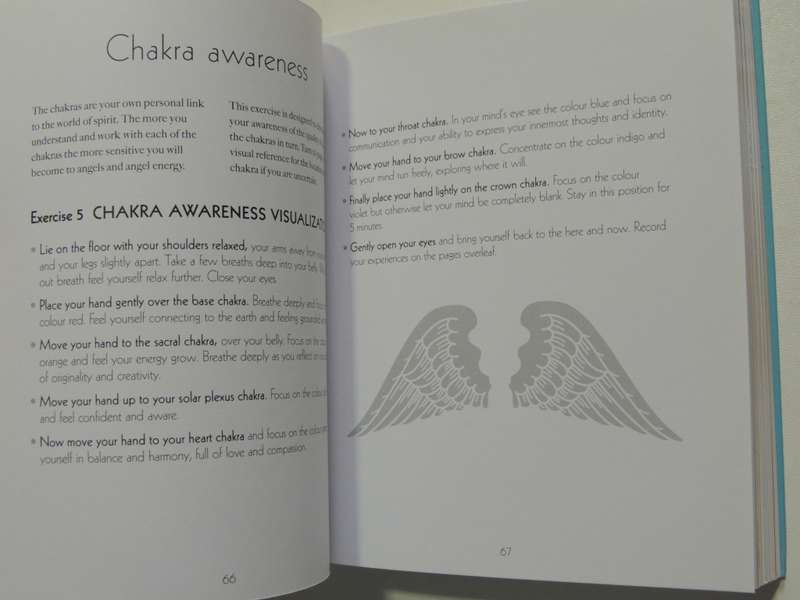 The Angel Experience - Your Complete Angel Workshop In A Book + CD - Hazel Raven