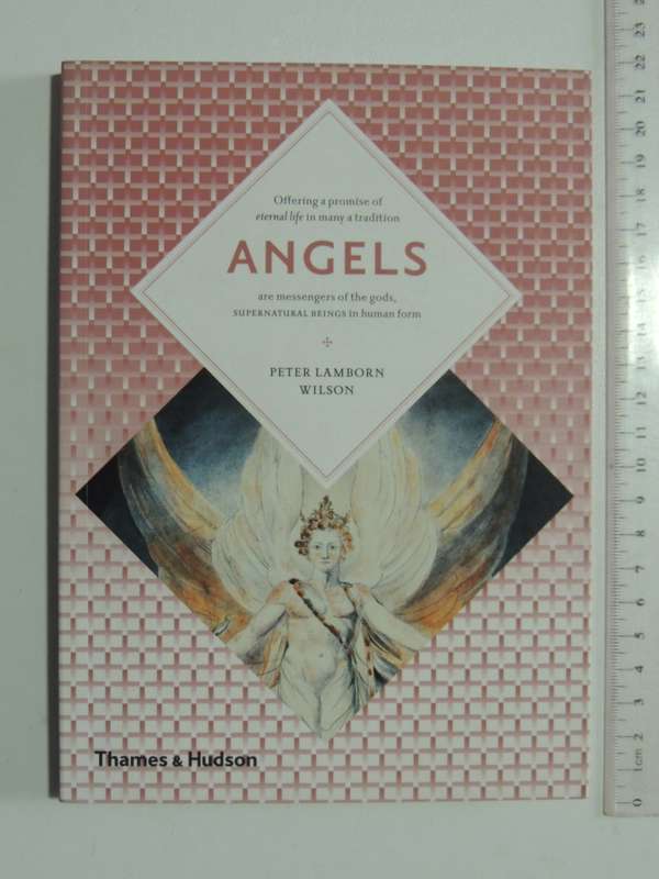 Angels  - Peter Lamborn Wilson