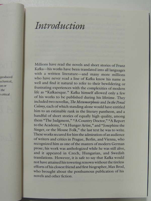 The Tremendous World I have Inside My Head - Franz Kafka: A biographical Essay - Louis Begley