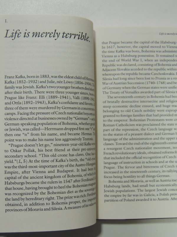 The Tremendous World I have Inside My Head - Franz Kafka: A biographical Essay - Louis Begley