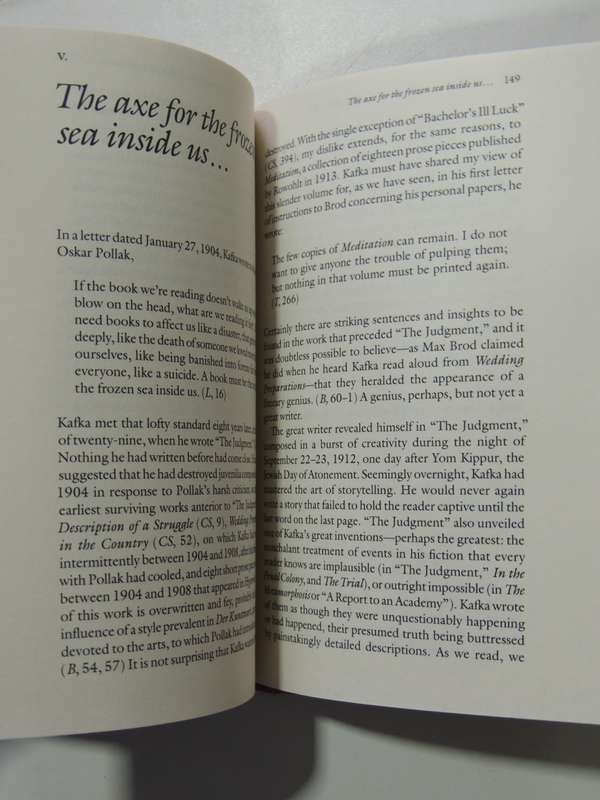 The Tremendous World I have Inside My Head - Franz Kafka: A biographical Essay - Louis Begley