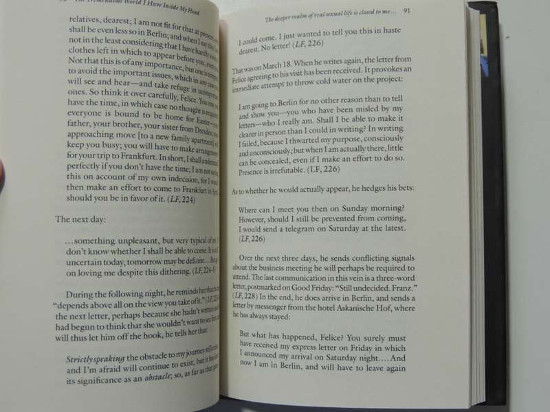 The Tremendous World I have Inside My Head - Franz Kafka: A biographical Essay - Louis Begley